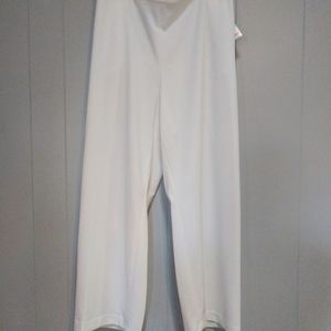 NWT! PLUS SIZE KASPER Dress Pants Size 24W